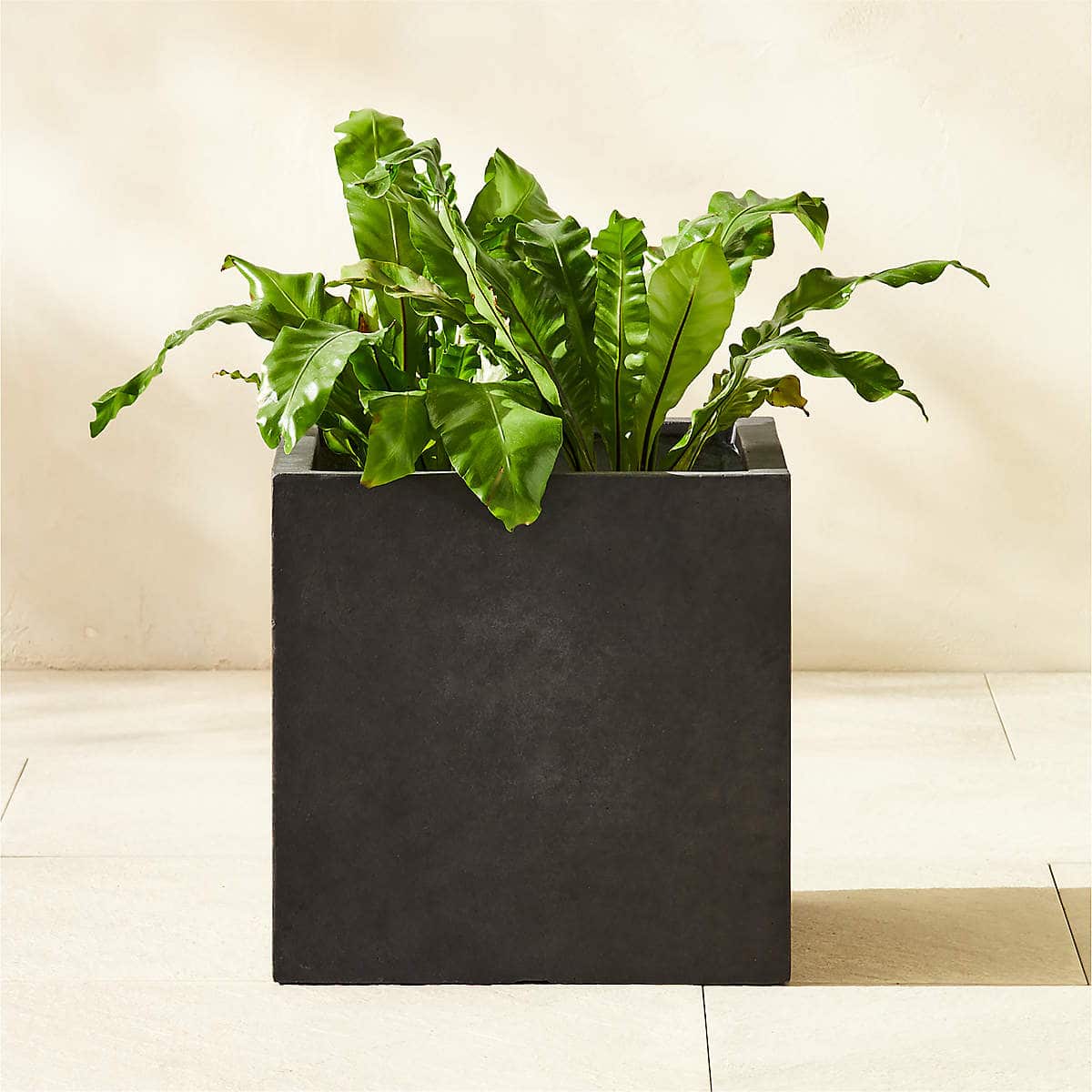Ash Square Dark Grey Cement Indoor/Outdoor Planter Small - KB&A The Home Improvement Store