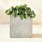 Ash Square Dark Grey Cement Indoor/Outdoor Planter Small - KB&A The Home Improvement Store