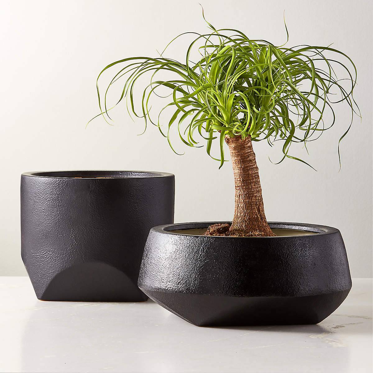Bethel Black Ceramic Wide Indoor Planter - KB&A The Home Improvement Store