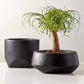 Bethel Black Ceramic Tall Indoor Planter - KB&A The Home Improvement Store