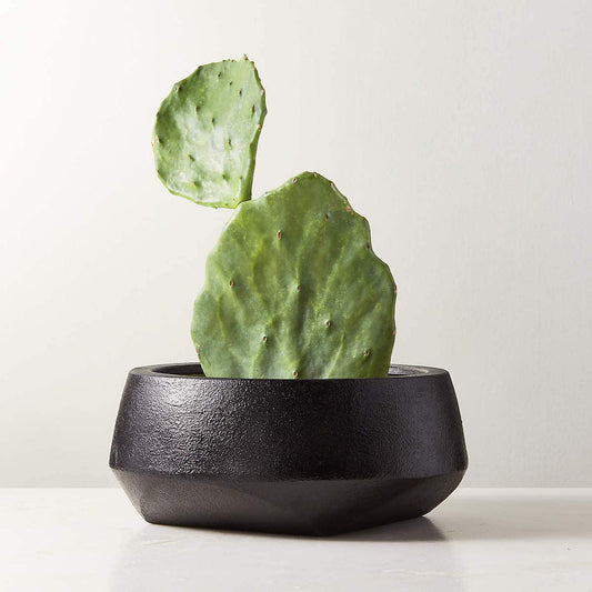Bethel Black Ceramic Wide Indoor Planter - KB&A The Home Improvement Store