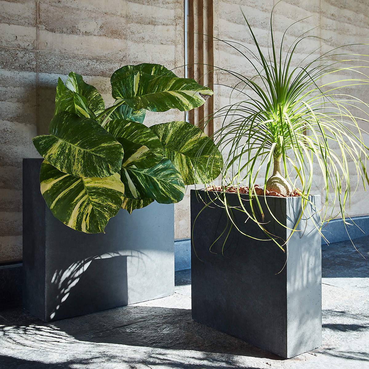 Ash Square Dark Grey Cement Indoor/Outdoor Planter Small - KB&A The Home Improvement Store