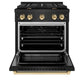 ZLINE Autograph Edition 30 in. 4.2 cu. ft. Paramount Gas Range with 4 Burner Cooktop and Convection Gas Oven in Black Stainless Steel and Polished Gold Accents (SGRBZ-30-G) - KB&A The Home Improvement Store