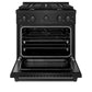 ZLINE 30 in. 4.2 cu. ft. Paramount Dual Fuel Range with Gas Cooktop and Electric Convection Oven in Black Stainless Steel with 4 Brass Burners (SDRB-BR-30) - KB&A The Home Improvement Store