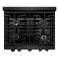 ZLINE 30 in. 4.2 cu. ft. Paramount Dual Fuel Range with 4 Burner Gas Cooktop and Electric Convection Oven in Black Stainless Steel (SDRB-30) - KB&A The Home Improvement Store