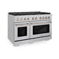 ZLINE 48 in. 6.7 cu. ft. Paramount Double Oven Gas Range in Stainless Steel with 8 Brass Burners (SGR-BR-48) - KB&A The Home Improvement Store